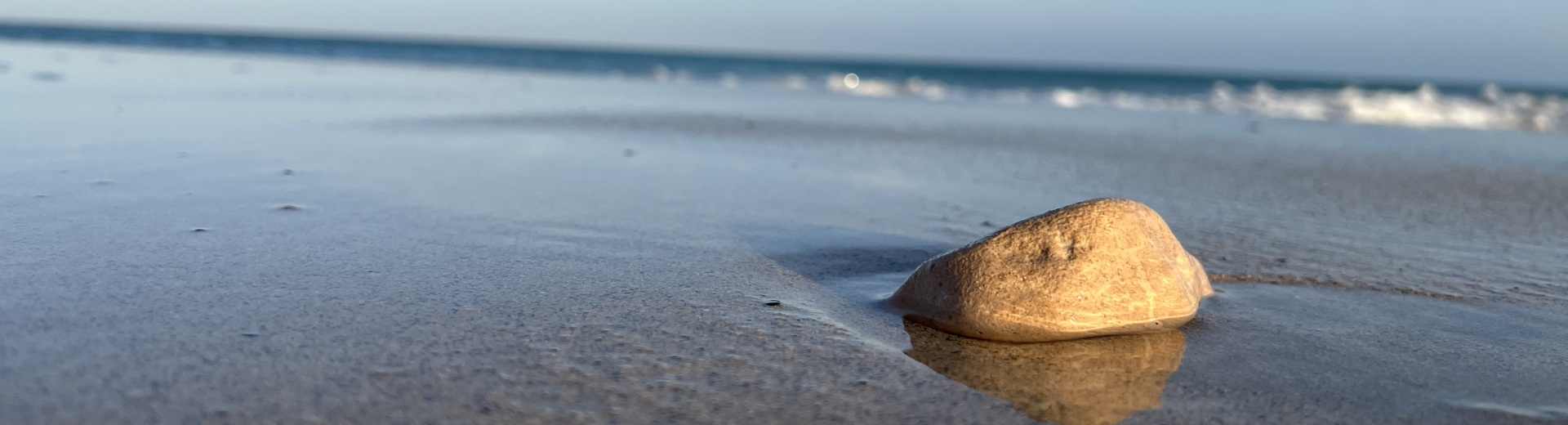 Headerfoto, Stein am Strand
